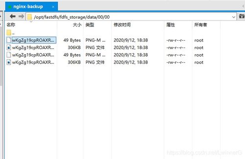 Linux CentOS 7 下搭建外網可訪問的 FastDFS 結合 Nginx 圖片/文件服務器