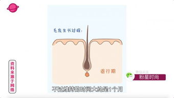 萬(wàn)人精選 強(qiáng)脈沖脫毛儀——實(shí)用與高效的脫毛首選
